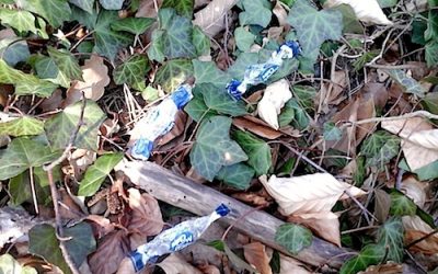 Des emballages jetés en forêt